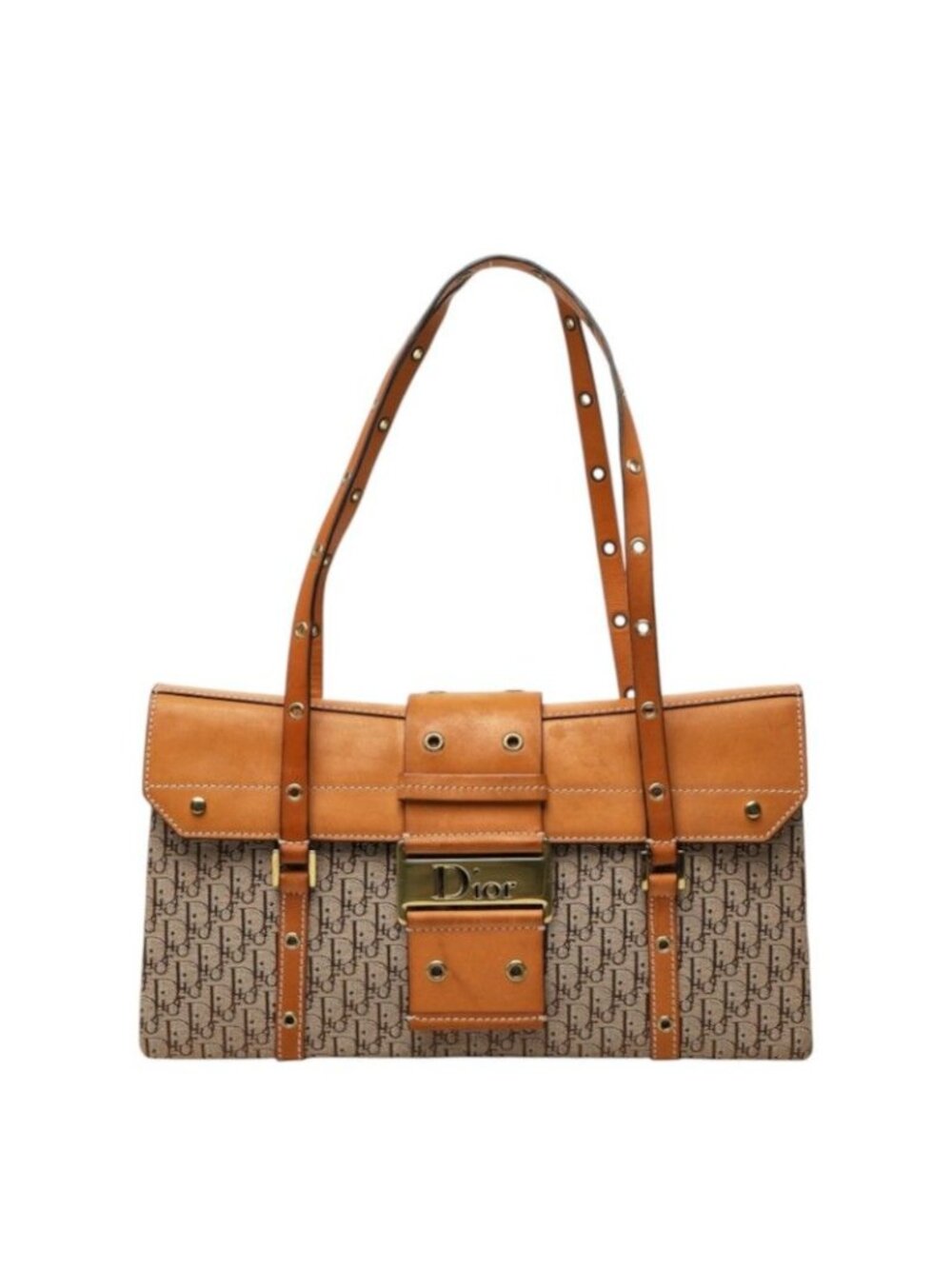 Dior Trotter Street Chic Shoulder Bag Beige Brown Canvas Leather